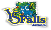 YS Falls Jamaica